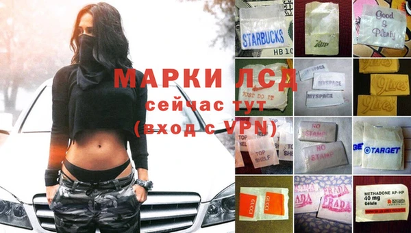 амф Новодвинск