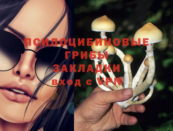 mdma Новозыбков