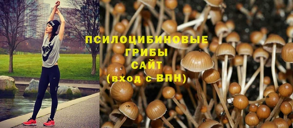 амф Новодвинск