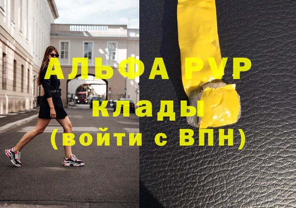 амф Новодвинск