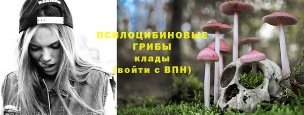 mdma Новозыбков