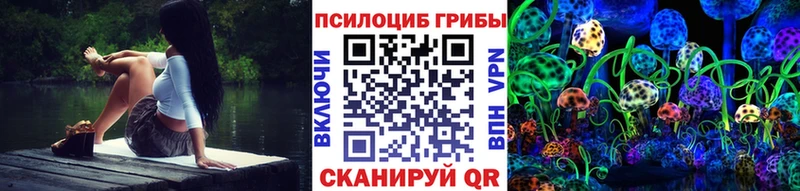дарк нет состав  Полтавская  Галлюциногенные грибы Psilocybe 